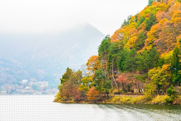 圖片[2]-手機如何免費下載安裝deepseek并完美使用 - DeepSeek-DeepSeek