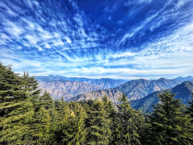 圖片[2]-在家兼職賺錢的10種最佳選擇，輕松實(shí)現(xiàn)收益 - DeepSeek-DeepSeek